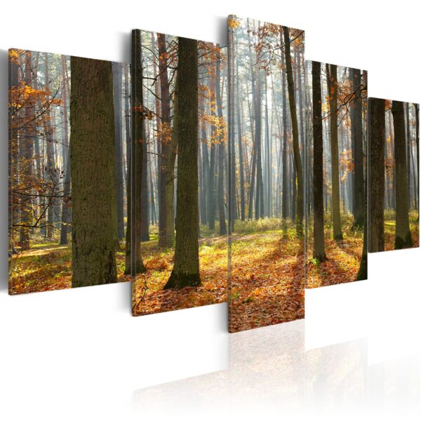 ARTGEIST A nice forest landscape - Billede af skov i efteråret trykt på lærred - Flere størrelser 200x100