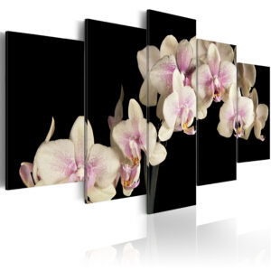 ARTGEIST An orchid on a contrasting background - Creme orkidé trykt på lærred - Flere størrelser 100x50