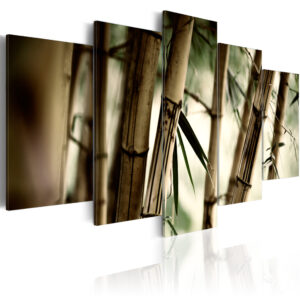 ARTGEIST Asian bamboo forest - Billede fra asiatisk bambusskov trykt på lærred - Flere størrelser  100x50