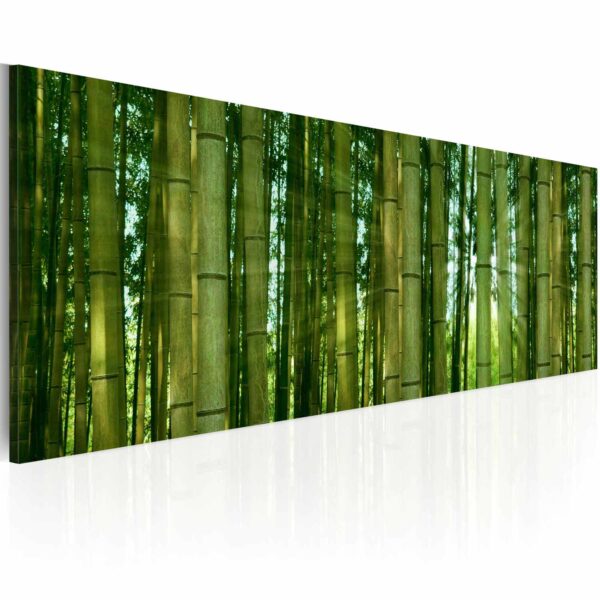 Artgeist Bamboo In The Sunshine Billede - Grøn Canvas Print (40X120) -> Spar tid og penge