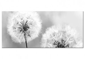 Artgeist billede af mælkebøtte - Fluffy Dandelions (1 Part) Grey Wide (100x45) 100x45