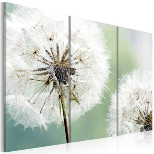 Artgeist billede - Fluffy dandelions