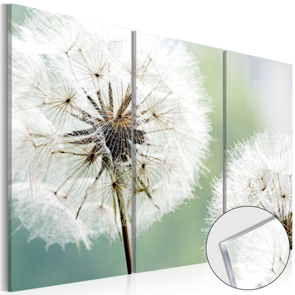 Artgeist billede - Fluffy Dandelions