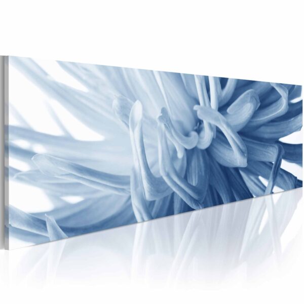 Artgeist Flover Petals Billede - Blå/Hvid Canvas Print (40X120) -> Hurtig levering