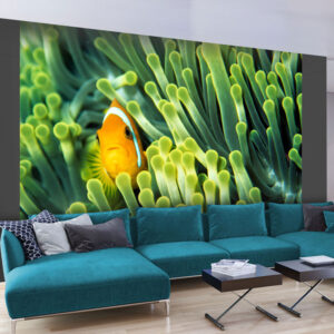 ARTGEIST Fototapet - Anemonefish