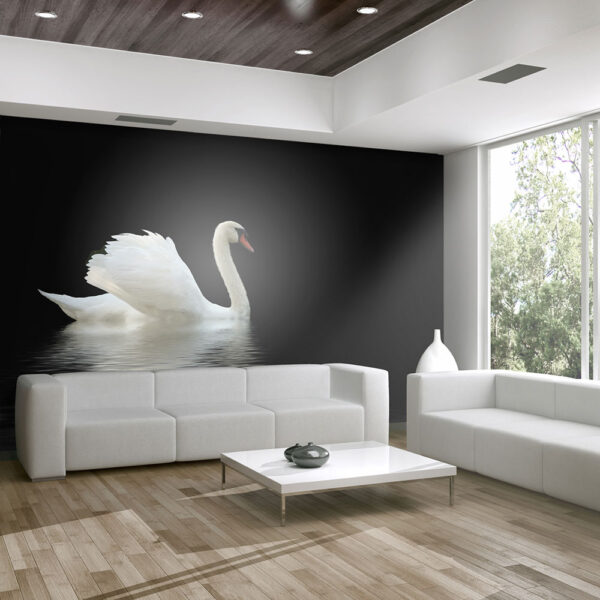 ARTGEIST Fototapet - swan (black and white)