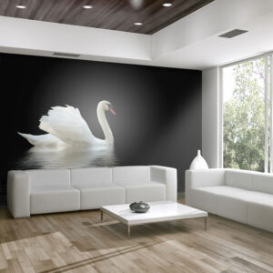 ARTGEIST Fototapet - swan (black and white)