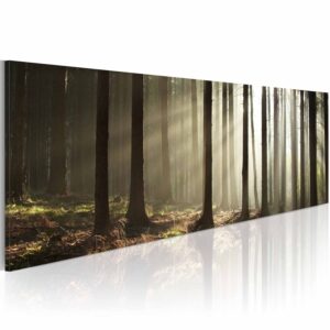 Artgeist Morning In The Woods Billede - Multifarvet Canvas Print (40X120) -> Stort udvalg
