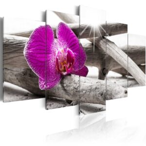 ARTGEIST Orchid on beach - Billede af magenta orkidé trykt på lærred - Flere størrelser 200x100