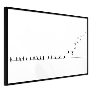 ARTGEIST Plakat med ramme - Birds on a Wire Sort 90x60