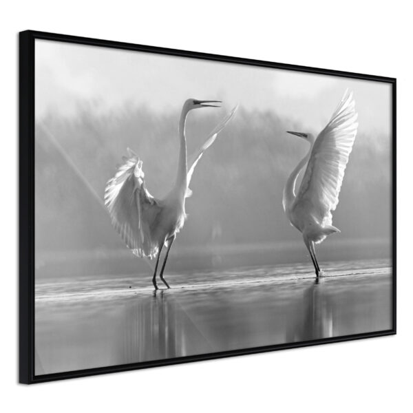 ARTGEIST Plakat med ramme - Black and White Herons Sort med passepartout 30x20