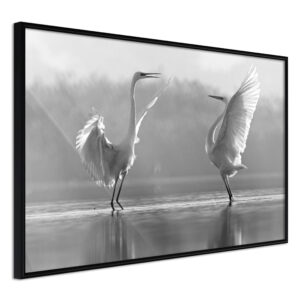 ARTGEIST Plakat med ramme - Black and White Herons Guld med passepartout 30x20