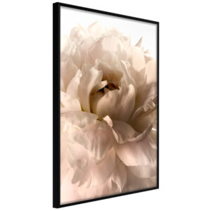 ARTGEIST Plakat med ramme - Bloom Sort med passepartout 20x30