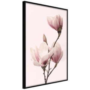 ARTGEIST Plakat med ramme - Blooming Magnolias III Guld 40x60