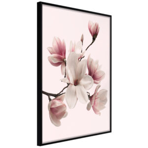 ARTGEIST Plakat med ramme - Blooming Magnolias I Sort med passepartout 20x30