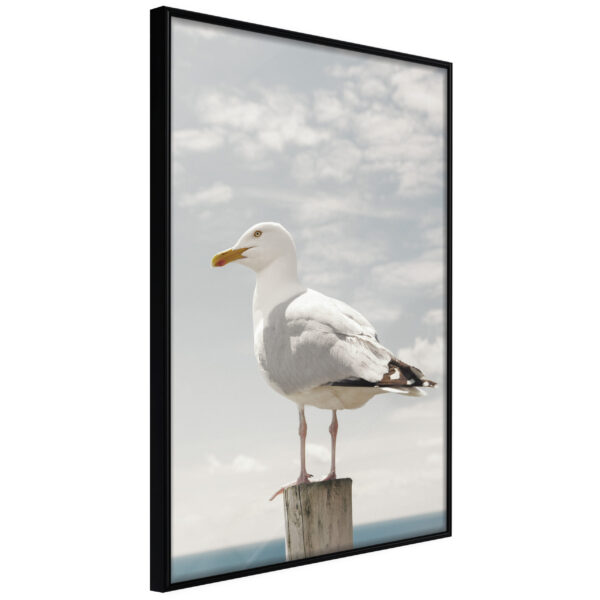 ARTGEIST Plakat med ramme - Curious Seagull Sort med passepartout 20x30