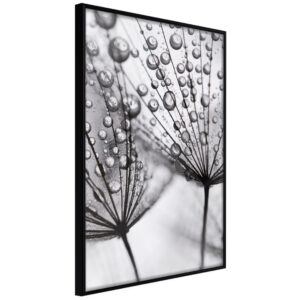 ARTGEIST Plakat med ramme - Dew in the Macro Scale Guld 20x30