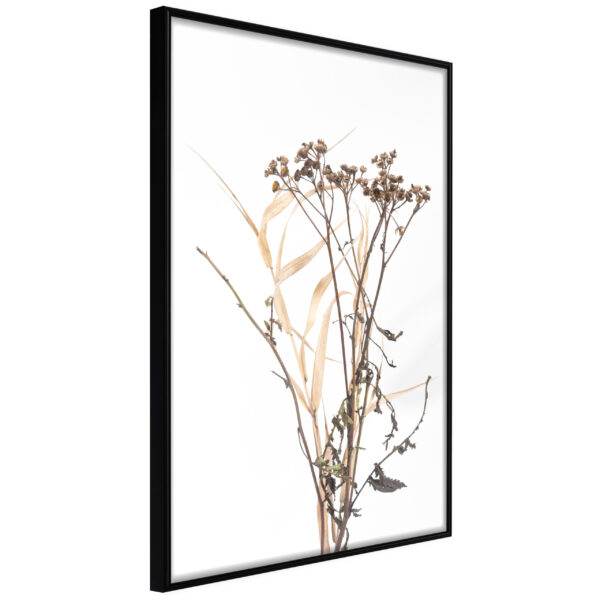 Artgeist Plakat Med Ramme - Diary Of A Herbalist Guld 20X30 -> Se priser