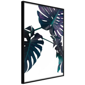 Artgeist Plakat Med Ramme - Evergreen Monstera Sort 20X30 -> Fuldt udvalg af tjenester