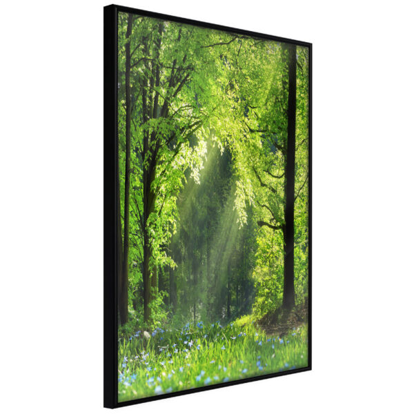 ARTGEIST Plakat med ramme - Forest Path Sort med passepartout 20x30