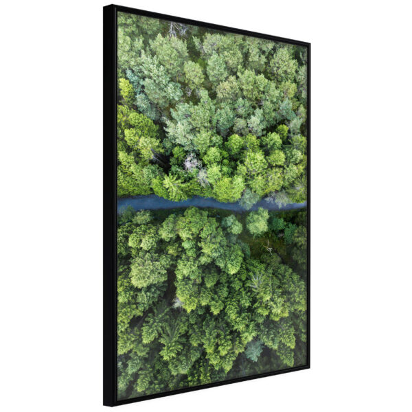 Artgeist Plakat Med Ramme - Forest From A BirdS Eye View Guld 20X30 -> Fuldt udvalg af tjenester