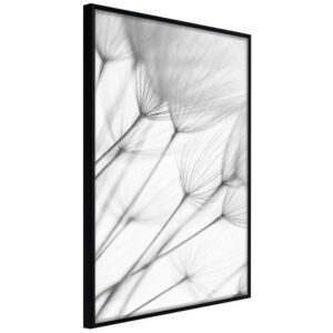 Artgeist Plakat Med Ramme - Gentle Blow Sort 40X60 -> Laveste prisgaranti