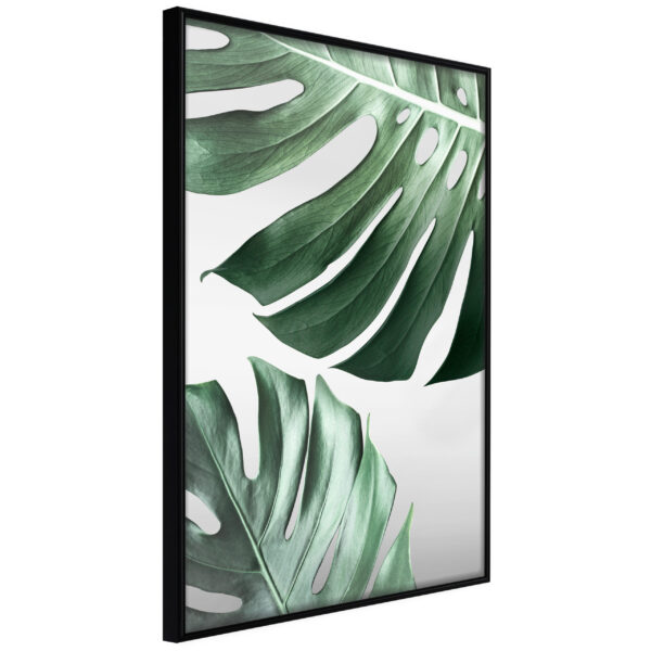 Artgeist Plakat Med Ramme - Leaves Like Swiss Cheese Sort 40X60 -> Særlige tilbud til rådighed