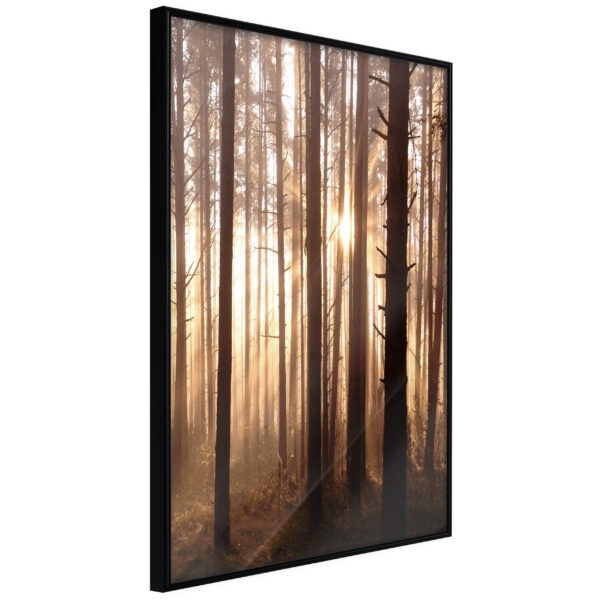 ARTGEIST Plakat med ramme - Morning in the Forest Guld 30x45