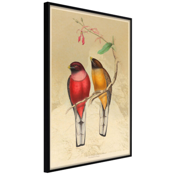 Artgeist Plakat Med Ramme - OrnithologistS Drawings Guld 20X30 -> Køb online i dag