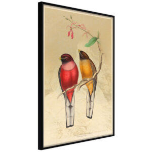 Artgeist Plakat Med Ramme - OrnithologistS Drawings Sort 20X30 -> Garanteret bedste pris