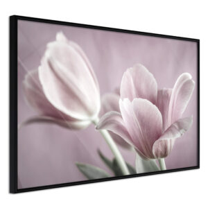 ARTGEIST Plakat med ramme - Pastel Tulips I Guld 30x20