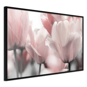 ARTGEIST Plakat med ramme - Pastel Tulips II Guld 30x20