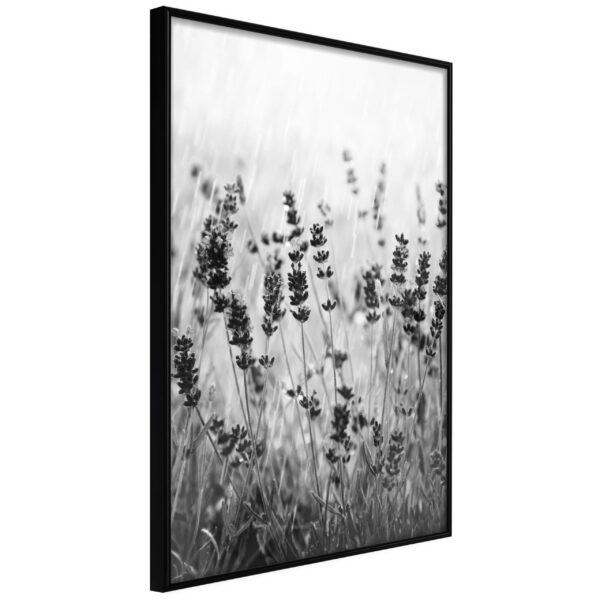 Artgeist Plakat Med Ramme - Shadow Of Meadow Guld Med Passepartout 40X60 -> Køb online nu