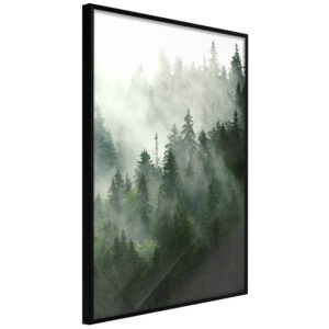 ARTGEIST Plakat med ramme - Steaming Forest Sort med passepartout 20x30