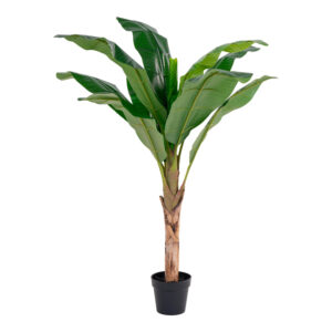 HOUSE NORDIC Banan Palme kunstig plante - grøn PE plastik (H:163)
