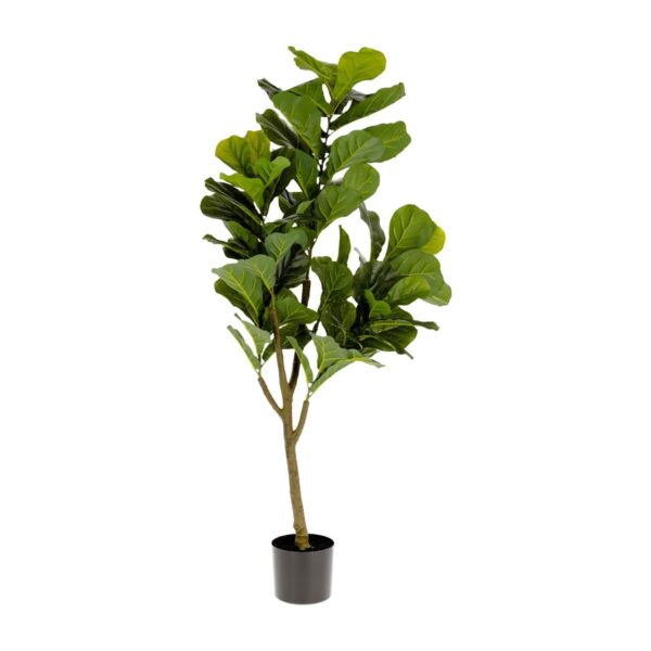 LAFORMA Ficus kunstig plante - grøn polyethylen (H:150)